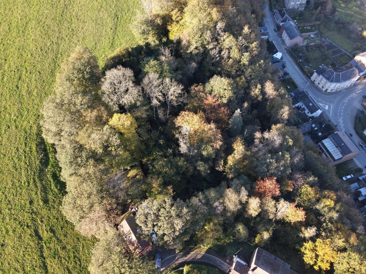 Gites Douillets A L'Oree Des Bois. Houyet Eksteriør billede