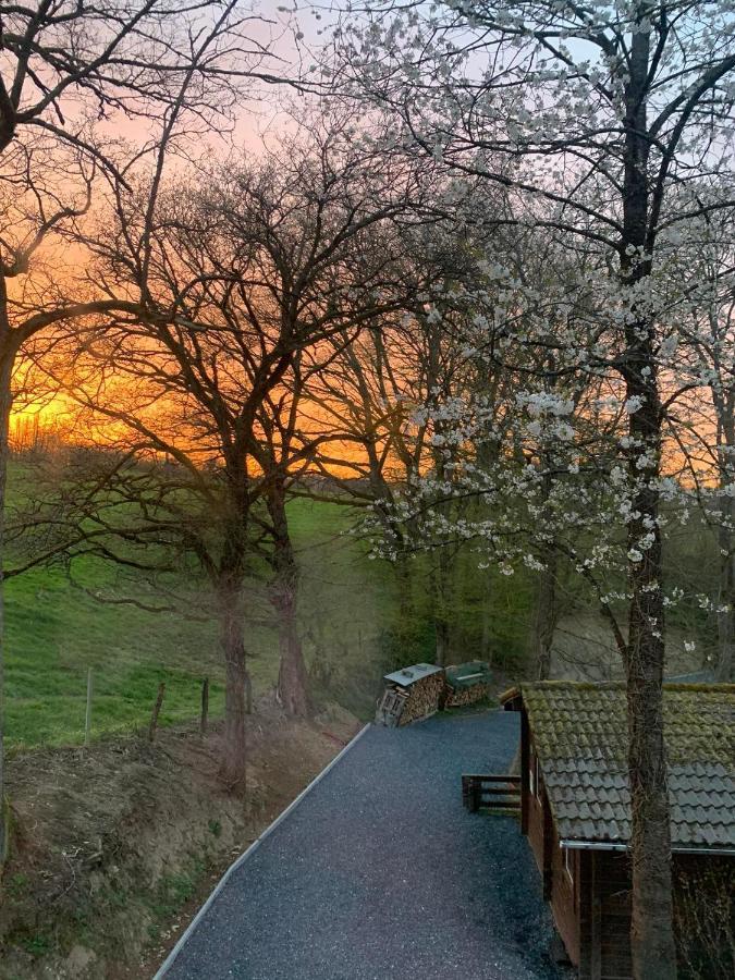 Gites Douillets A L'Oree Des Bois. Houyet Eksteriør billede